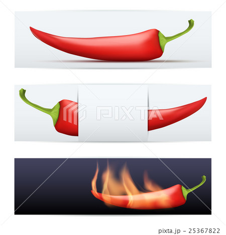 Hot Pepper pattern food banners 25367822
