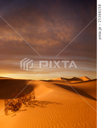sunset dunes 25368158