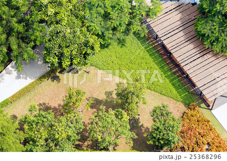 Ariel view of Peaceful modern garden background 25368296