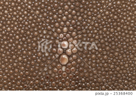 Genuine stingray skin closeup. Super macro Genuine stingray skin closeup. Super macro 25368400