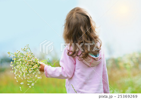 Little girl picking flowers in the meadow Little girl picking flowers in the meadow 25369269