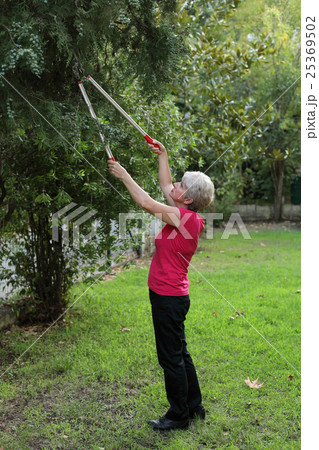 Gardening activity 25369502