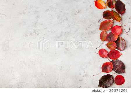 Colorful autumn leaves on a grey stone background 25372292