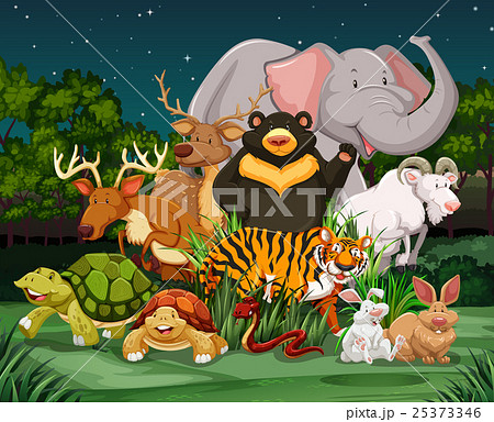 Different types of wild animals in park 25373346