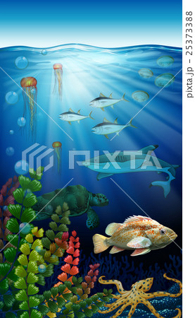Sea animals living under the ocean Sea animals living under the ocean 25373388