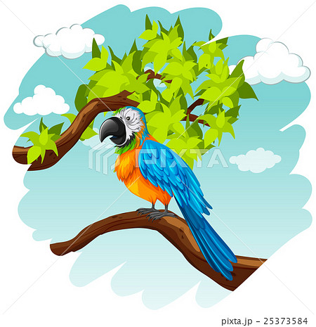 Vector illustration 25373584