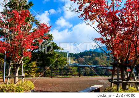 九重夢大吊橋の紅葉 九重夢大吊橋の紅葉 25374080