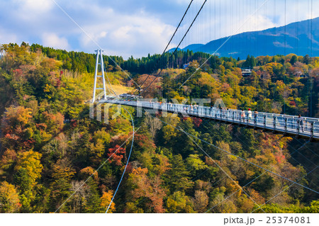 九重夢大吊橋の紅葉 25374081
