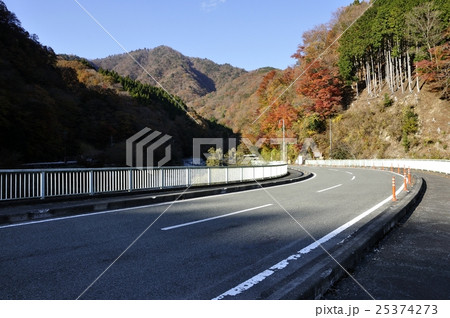 西丹沢の道 25374273