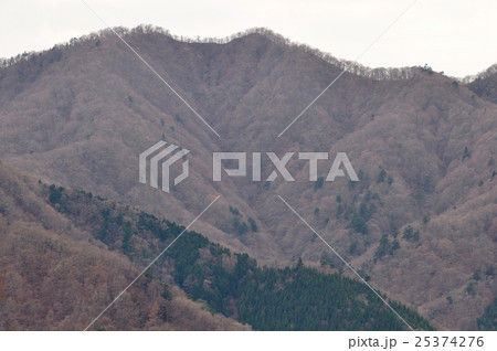 晩秋の菰釣山 25374276