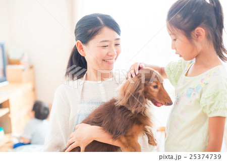 dog lover dog lover 25374739