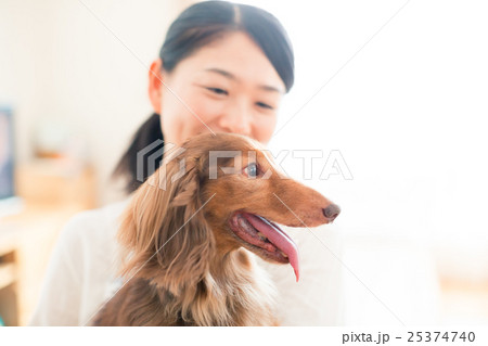 dog lover dog lover 25374740