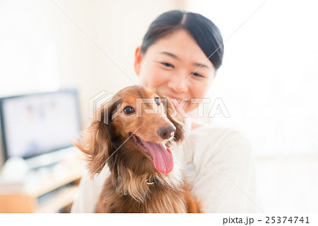 dog lover dog lover 25374741