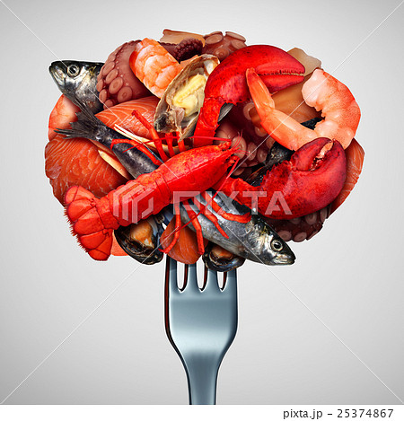 Seafood Concept Seafood Concept 25374867
