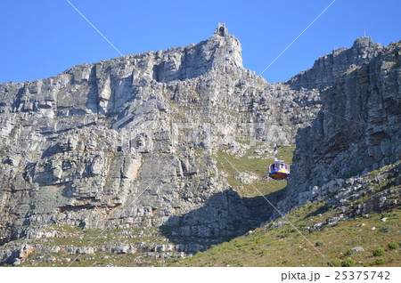 南アフリカ、ケープタウン、テーブルマウンテン頂上付近 南アフリカ、ケープタウン、テーブルマウンテン頂上付近 25375742