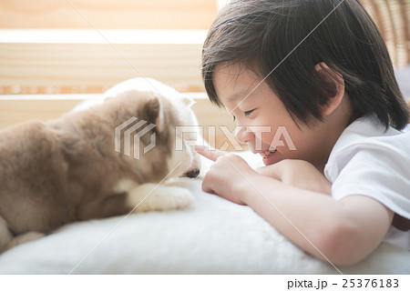 asian child playing with siberian husky puppy asian child playing with siberian husky puppy 25376183