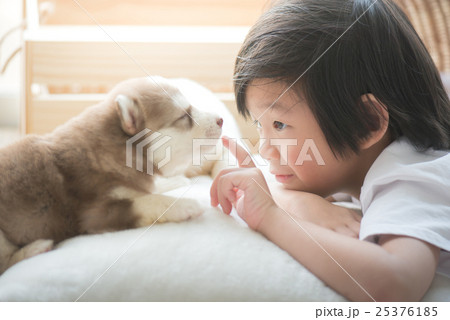 asian child playing with siberian husky puppy 25376185