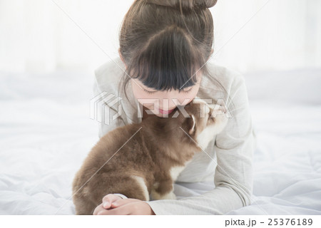 asian girl lying with two siberian husky puppies 25376189