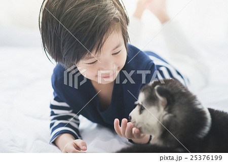 Cute asian child playing with siberian husky puppy 25376199