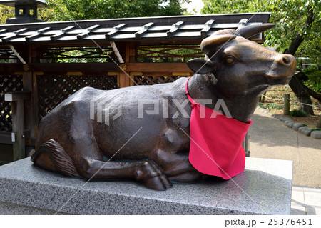 湯島天神の撫で牛（臥牛） 25376451