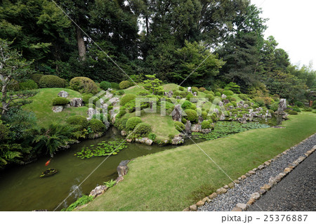 【名勝】龍潭寺 池泉鑑賞式庭園（井伊直虎 菩提寺） 25376887
