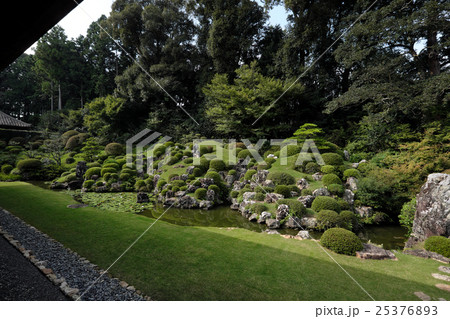 【名勝】龍潭寺 池泉鑑賞式庭園(井伊直虎 菩提寺) 【名勝】龍潭寺 池泉鑑賞式庭園(井伊直虎 菩提寺) 25376893