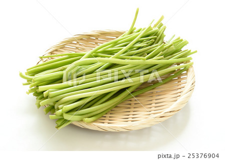 芋のつる 25376904