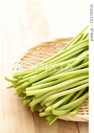 芋のつる 25376910