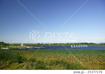 長沼ボート場 長沼ボート場 25377276