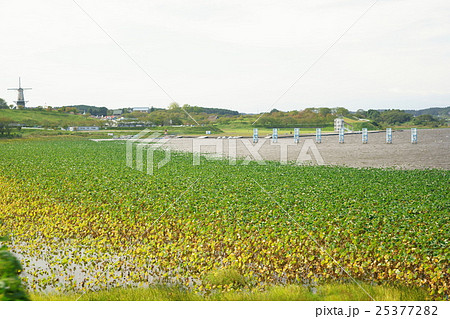 長沼 25377282