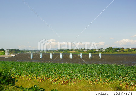 長沼ボート場 25377372