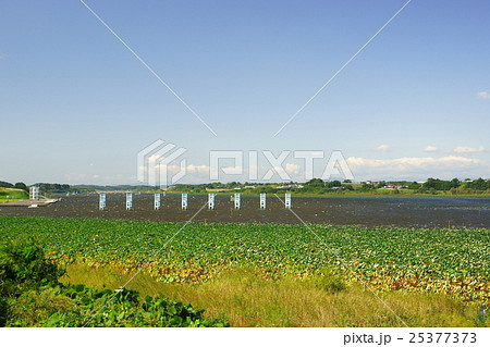 長沼ボート場 25377373