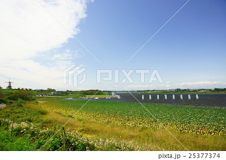 長沼ボート場 25377374