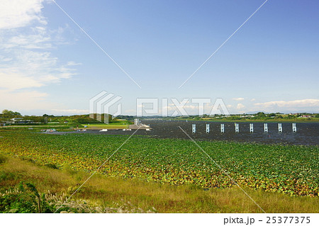 長沼ボート場 長沼ボート場 25377375