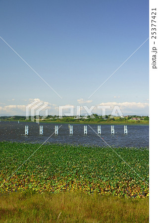 長沼ボート場 長沼ボート場 25377421