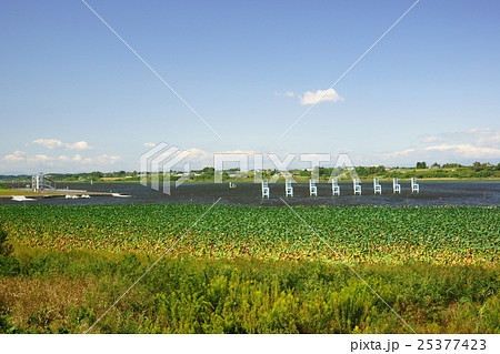 長沼ボート場 長沼ボート場 25377423