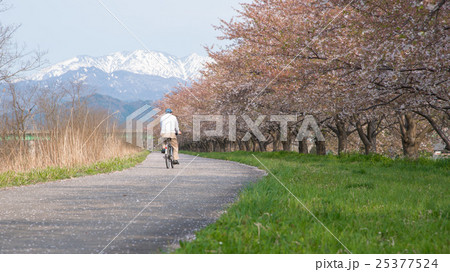 Old man riding a bike at The Kaji Riverbank  25377524