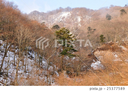 朝焼けの丹沢山 朝焼けの丹沢山 25377589