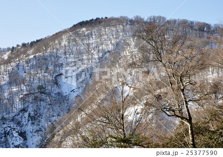 雪の竜ヶ馬場 25377590