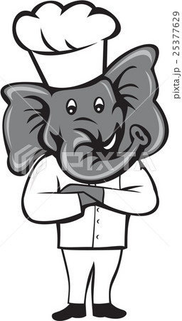 Chef Elephant Arms Crossed Standing Cartoon Chef Elephant Arms Crossed Standing Cartoon 25377629