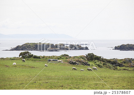 アイラ島 アイラ島 25378607