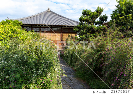 常林寺 - 萩の寺 25379617