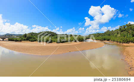 慶佐次湾のヒルギ林 慶佐次湾のヒルギ林 25380694