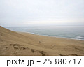 曇りの日の鳥取砂丘 25380717