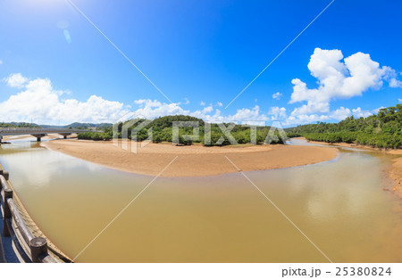 慶佐次湾のヒルギ林 慶佐次湾のヒルギ林 25380824