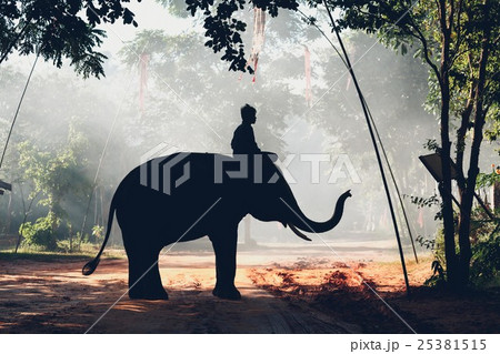 Silhouette mahout and elephant 25381515