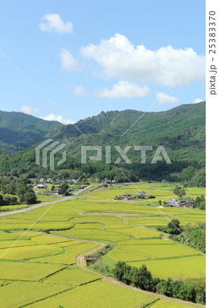 秋の田園風景(田染荘) 秋の田園風景(田染荘) 25383370