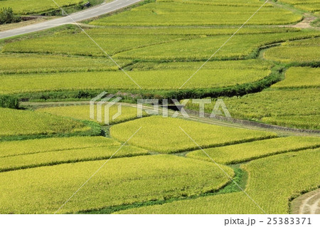 秋の田園風景(田染荘) 秋の田園風景(田染荘) 25383371