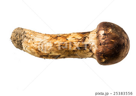 岩手県産　最高級松茸　 Domestic matsutake mushroom  25383556