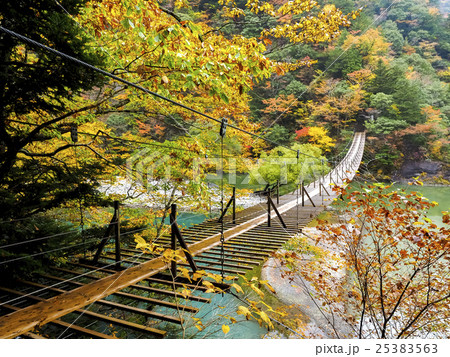 寸又峡　夢の吊り橋　紅葉シーズン 25383563